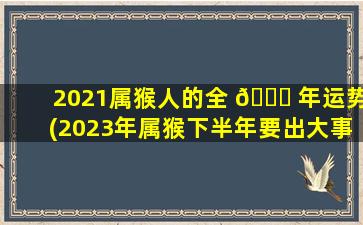 2021属猴人的全 🐝 年运势(2023年属猴下半年要出大事)